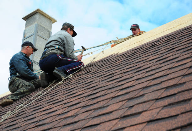 Best Best Roofing Contractors  in Big Rapids, MI