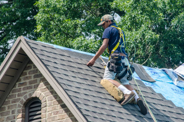 Best Storm Damage Roof Repair  in Big Rapids, MI